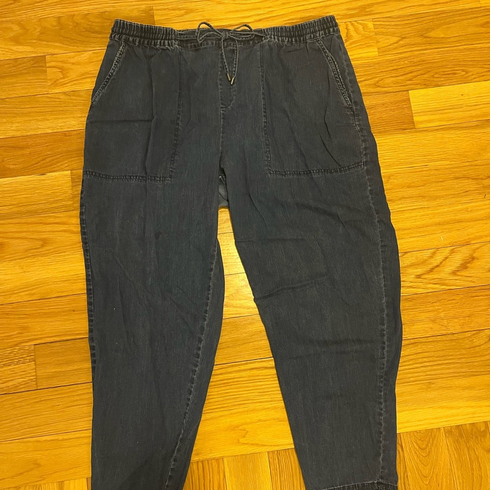 Eileen Fischer Casual Blue Drawstring Pants